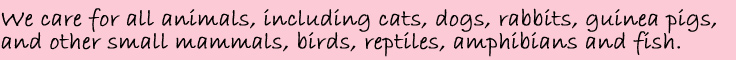 We care for all types of animals